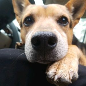 Meet your Posher, Tiffani